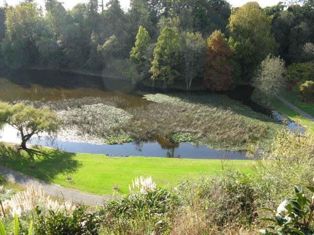 08a. May 2018. From the Camelia Walk. 